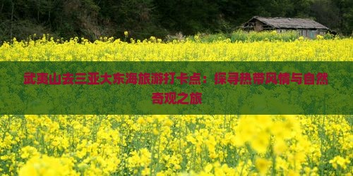 武夷山去三亚大东海旅游打卡点：探寻热带风情与自然奇观之旅