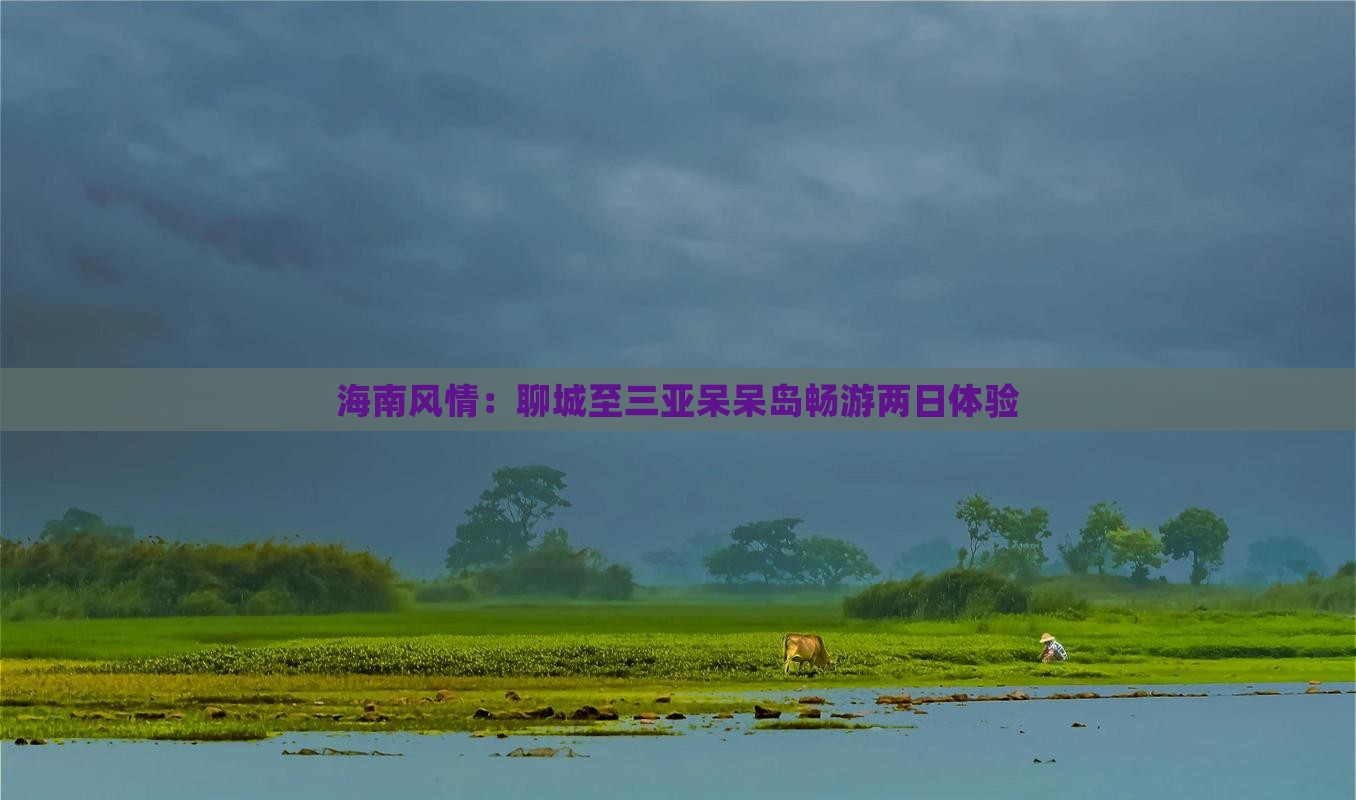 海南风情：聊城至三亚呆呆岛畅游两日体验