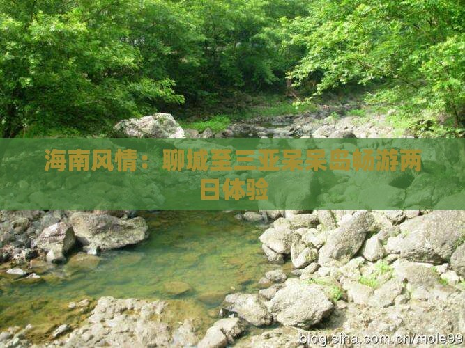 海南风情：聊城至三亚呆呆岛畅游两日体验