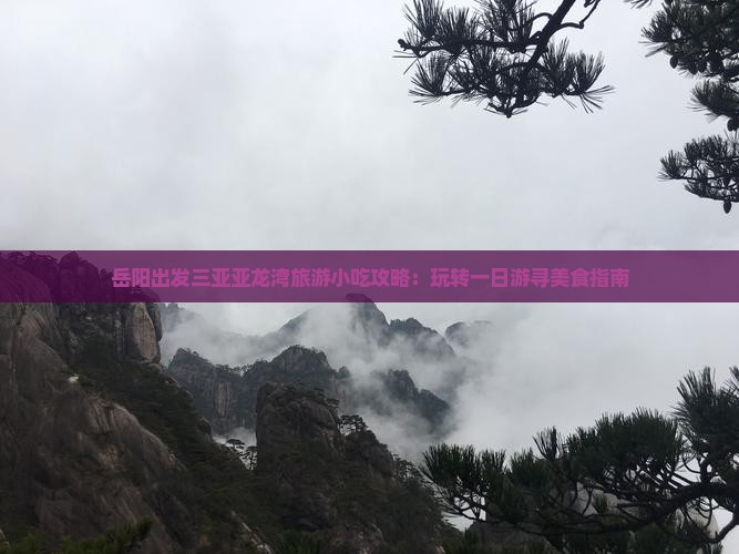 岳阳出发三亚亚龙湾旅游小吃攻略：玩转一日游寻美食指南