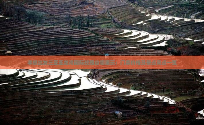 孝感出发三亚亚龙湾国际玫瑰谷哪里玩：门票价格及景点亮点一览