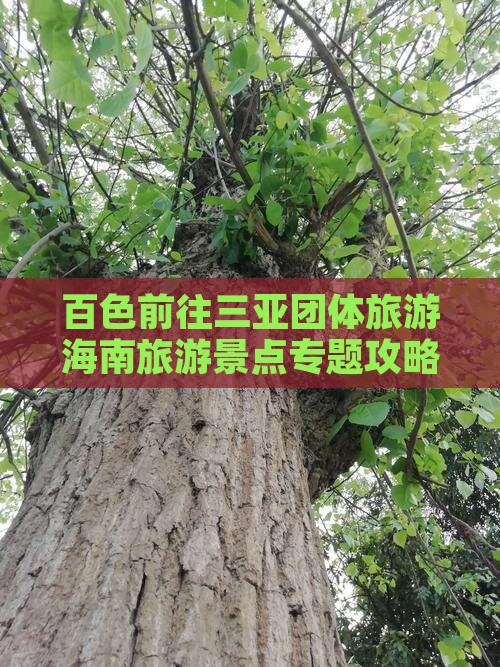 百色前往三亚团体旅游海南旅游景点专题攻略