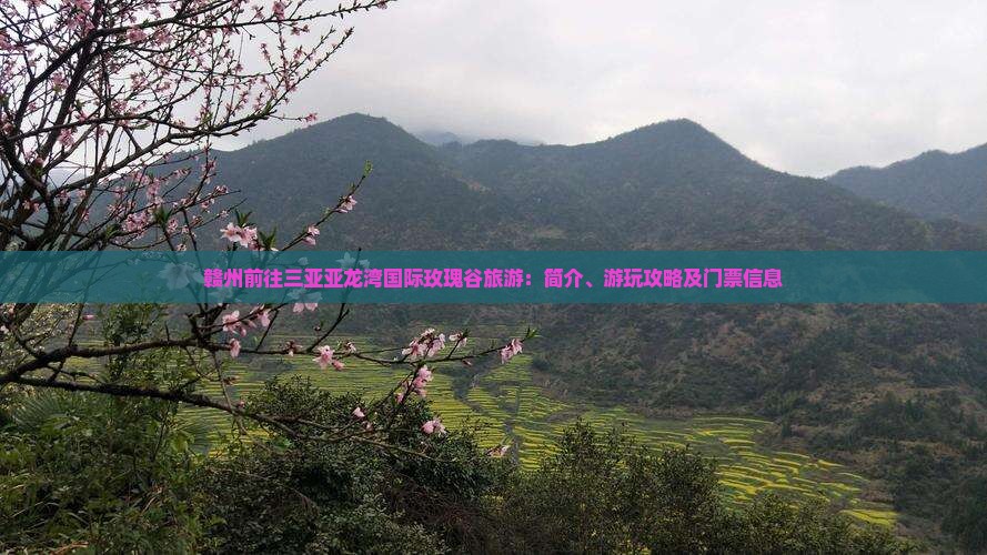 赣州前往三亚亚龙湾国际玫瑰谷旅游：简介、游玩攻略及门票信息