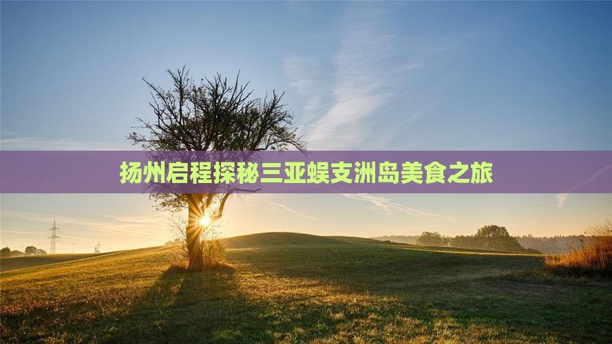 扬州启程探秘三亚蜈支洲岛美食之旅