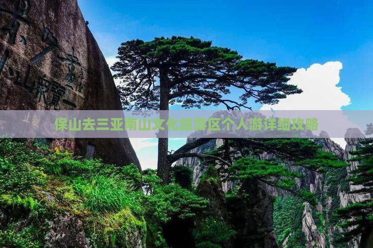 保山去三亚南山文化旅游区个人游详细攻略