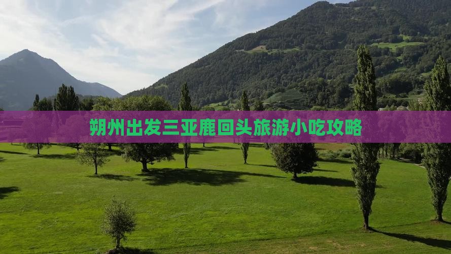 朔州出发三亚鹿回头旅游小吃攻略