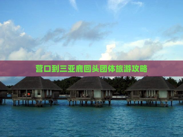 营口到三亚鹿回头团体旅游攻略