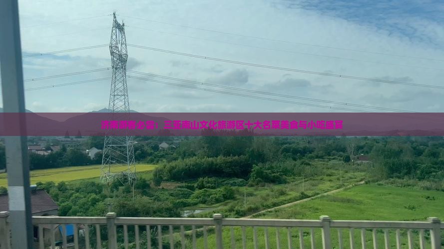 济南游客必尝：三亚南山文化旅游区十大名菜美食与小吃盛宴