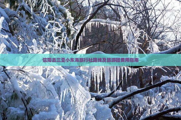 信阳去三亚小东海旅行社路线及旅游团费用指南