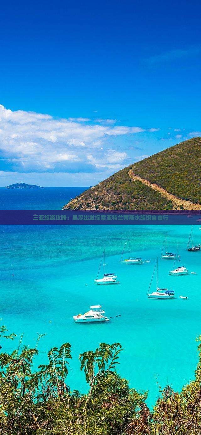 三亚旅游攻略：吴忠出发探索亚特兰蒂斯水族馆自由行