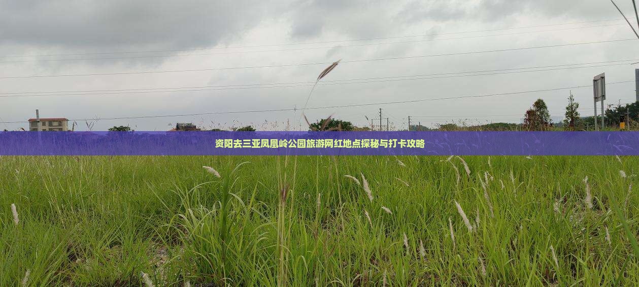 资阳去三亚凤凰岭公园旅游网红地点探秘与打卡攻略