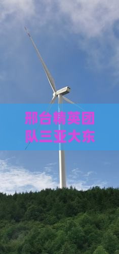 邢台精英团队三亚大东海豪华团体度假之旅