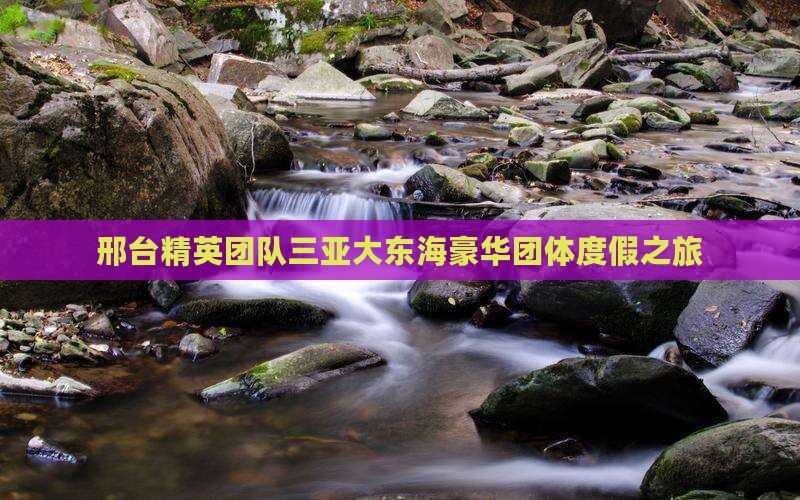 邢台精英团队三亚大东海豪华团体度假之旅