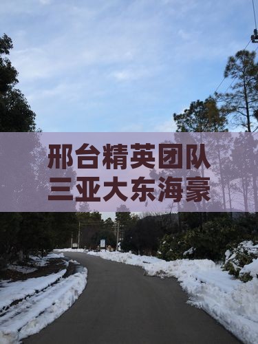 邢台精英团队三亚大东海豪华团体度假之旅