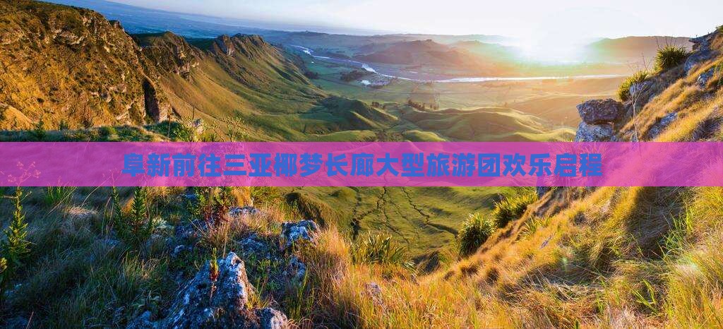 阜新前往三亚椰梦长廊大型旅游团欢乐启程