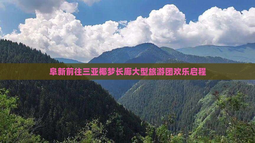 阜新前往三亚椰梦长廊大型旅游团欢乐启程