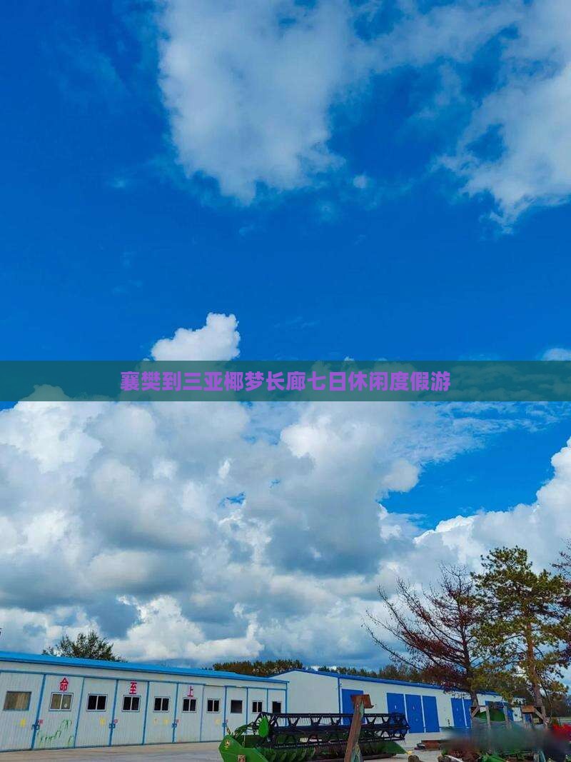 襄樊到三亚椰梦长廊七日休闲度假游