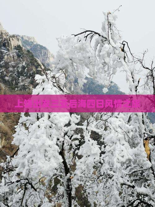 上饶出发三亚后海四日风情之旅