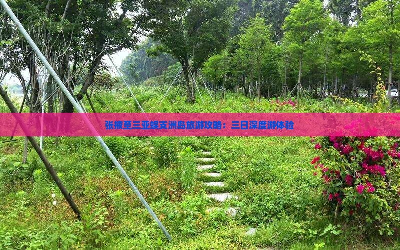 张掖至三亚蜈支洲岛旅游攻略：三日深度游体验
