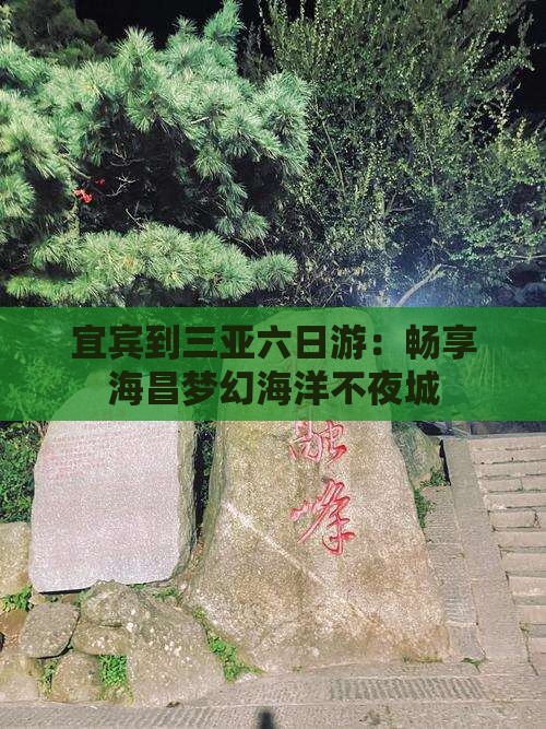 宜宾到三亚六日游：畅享海昌梦幻海洋不夜城