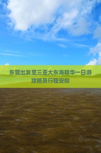 东营出发至三亚大东海精华一日游攻略及行程安排