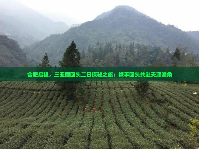 合肥启程，三亚鹿回头二日探秘之旅：携手回头共赴天涯海角