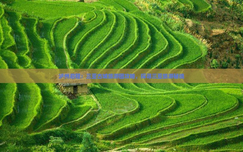 泸州启程：三亚古城旅游团攻略，探寻三亚旅游秘境
