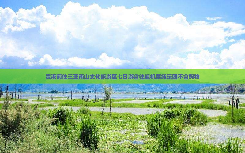 贵港前往三亚南山文化旅游区七日游含往返机票纯玩团不含购物