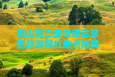 眉山去三亚呀诺达景区旅游网红地点推荐