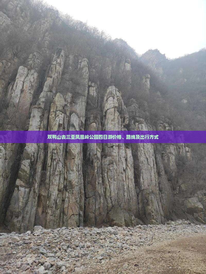 双鸭山去三亚凤凰岭公园四日游价格、路线及出行方式