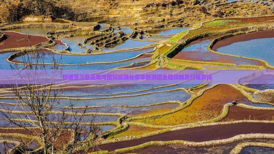 昭通至三亚亚龙湾国际玫瑰谷豪华旅游团全程攻略及行程安排