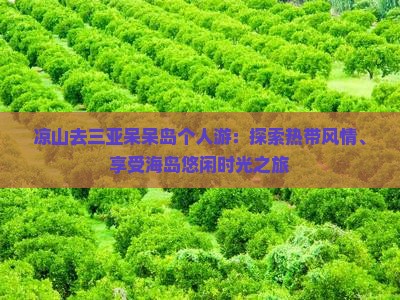 凉山去三亚呆呆岛个人游：探索热带风情、享受海岛悠闲时光之旅