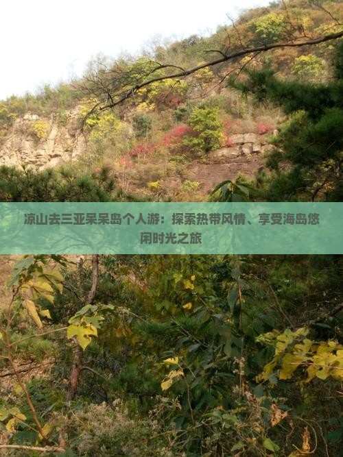 凉山去三亚呆呆岛个人游：探索热带风情、享受海岛悠闲时光之旅