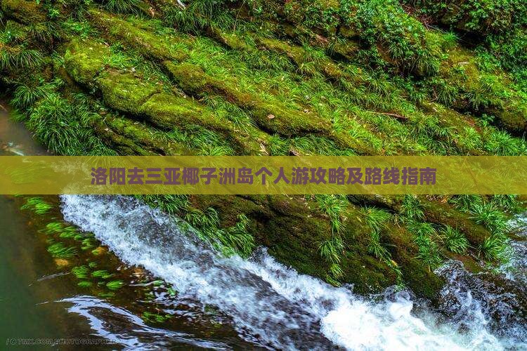 洛阳去三亚椰子洲岛个人游攻略及路线指南