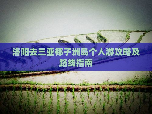 洛阳去三亚椰子洲岛个人游攻略及路线指南