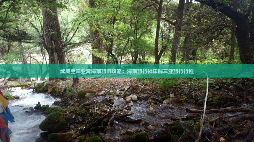 武威至三亚湾海南旅游攻略：海南旅行社详解三亚旅行行程