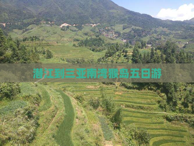 潜江到三亚南湾猴岛五日游