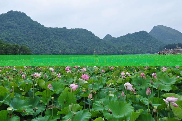 《黑河出发至三亚半山半岛帆船港：热门景点与旅行攻略全解析》