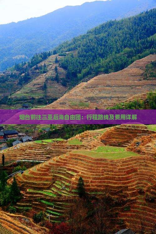 烟台前往三亚后海自由团：行程路线及费用详解