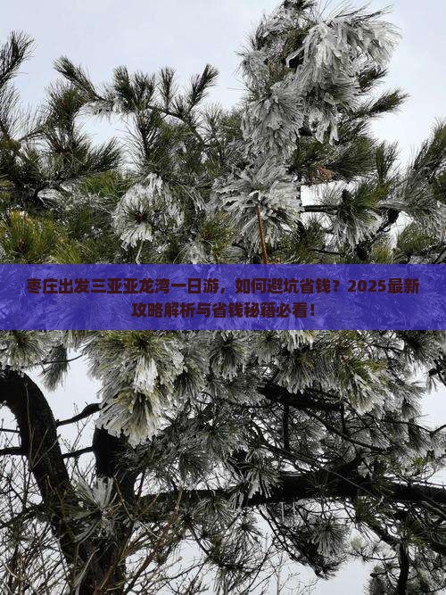 枣庄出发三亚亚龙湾一日游