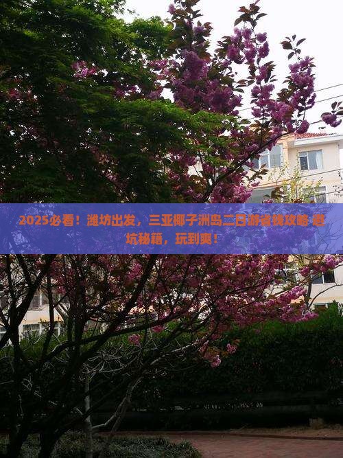 潍坊去三亚椰子洲岛二日游
