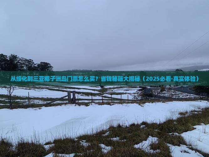 绥化出发三亚椰子洲岛门票