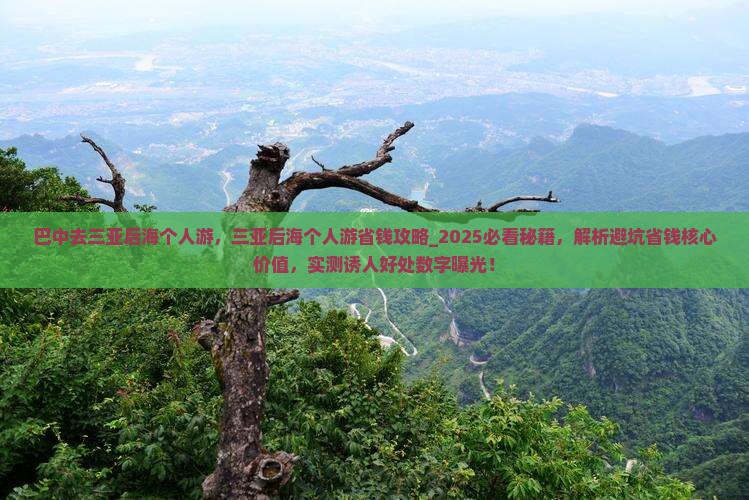 巴中去三亚后海个人游