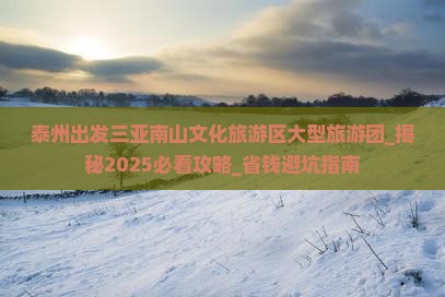 泰州出发三亚南山文化旅游区大型旅游团