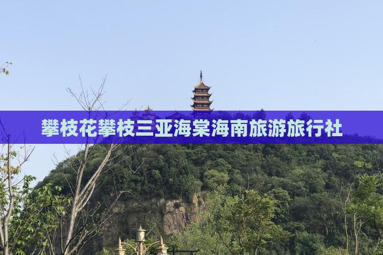 攀枝花去三亚海棠湾旅行社