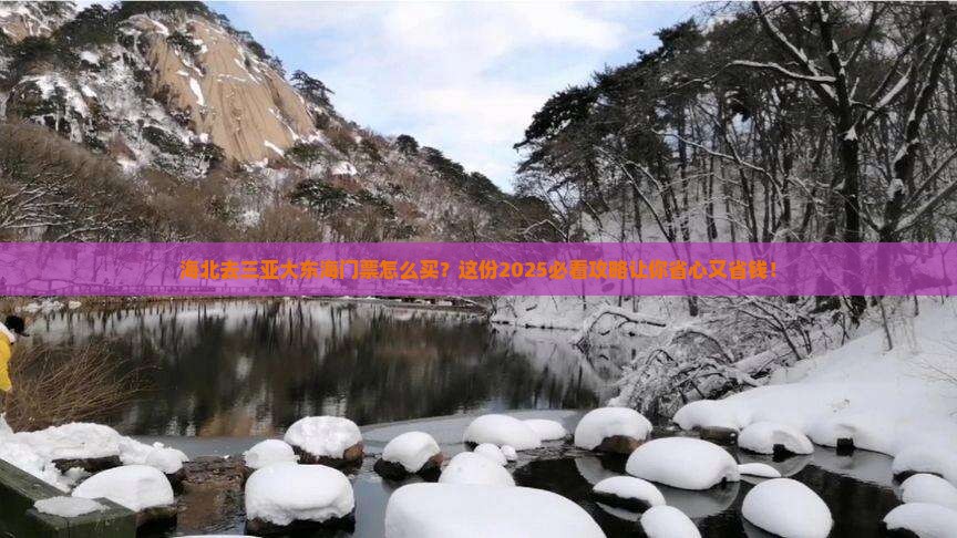 海北前往三亚大东海门票