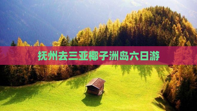 抚州去三亚椰子洲岛六日游