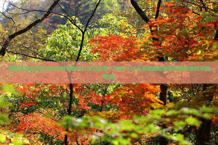 陇南去三亚亚龙湾热带森林公园三日游