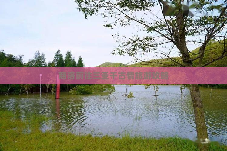 商洛前往三亚千古情哪里玩