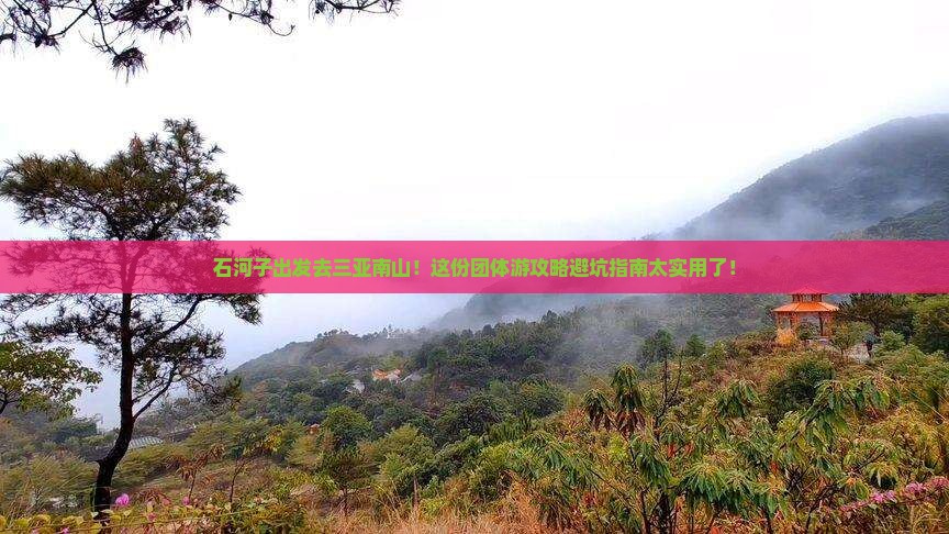 石河子去三亚南山文化旅游区团体旅游